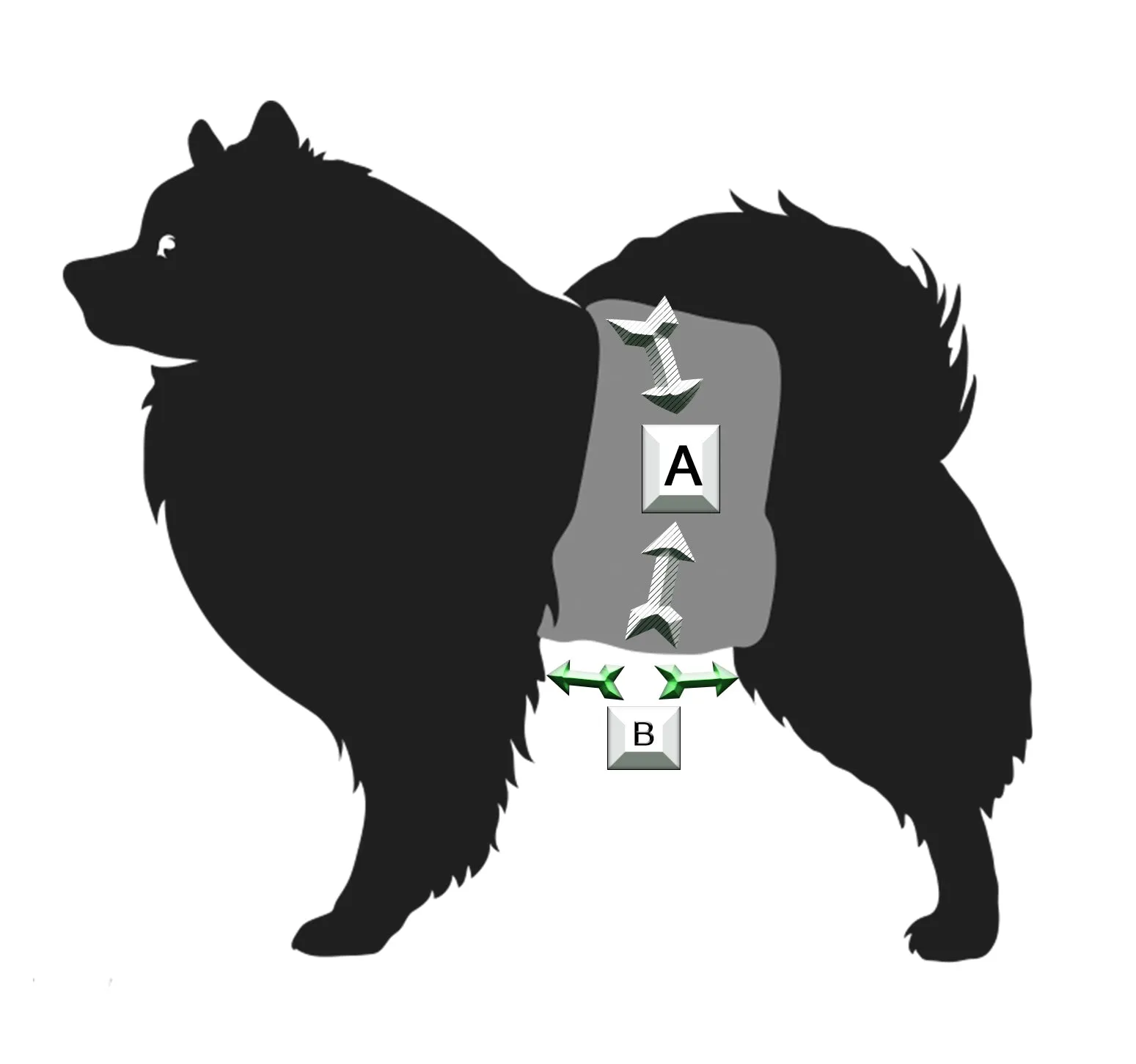 Black Minkie Plush Dog Belly Band - Poppers
