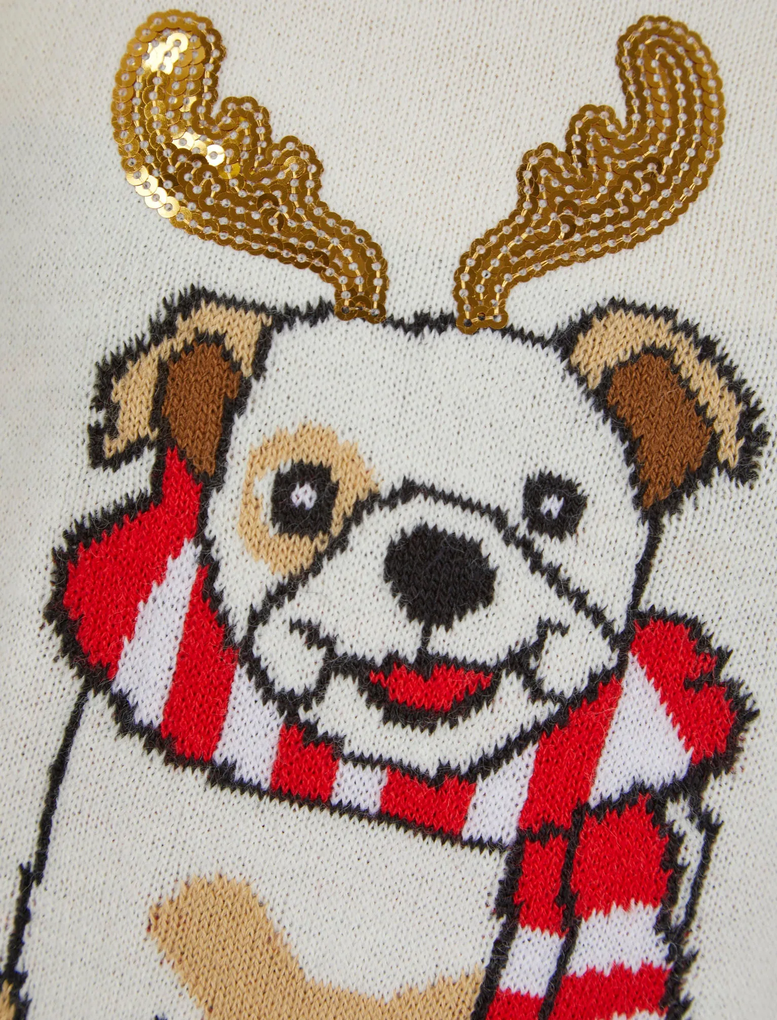 Girls Reindeer Dog Novelty Christmas Jumper in Gardenia - Merry Christmas Kids (4-12yrs)