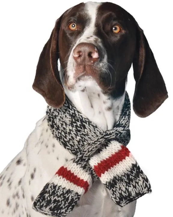 Stormy Weather Boyfriend Pet Scarf