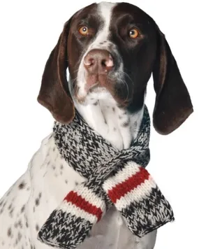 Stormy Weather Boyfriend Pet Scarf